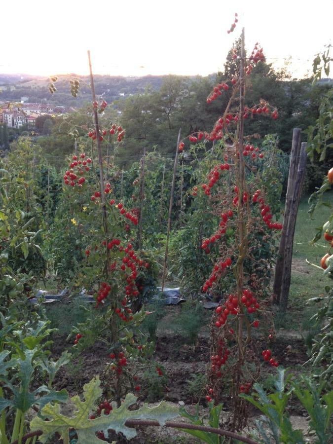 Il Borgo Delle Grazie Villa Ovada Eksteriør billede